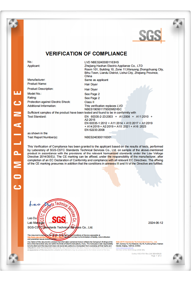 DSS_LVD NBES2403001163HS(1)