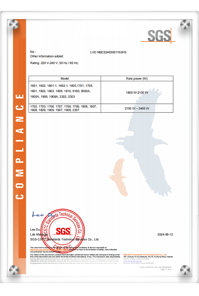 DSS_LVD NBES2403001163HS(2)